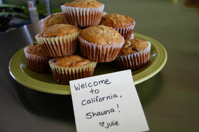 Petition · We need to bring back Mini Muffin Tops! ·