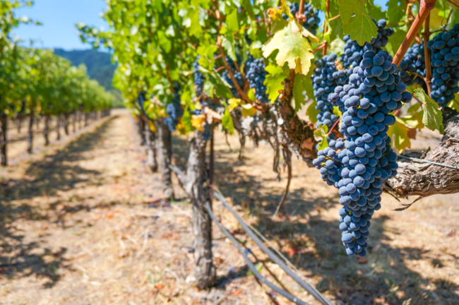 Brix Brunch | ChefJulieYoon.com