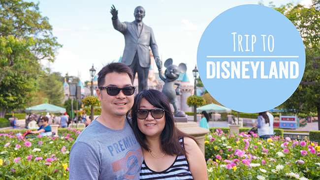 Disneyland in One Day