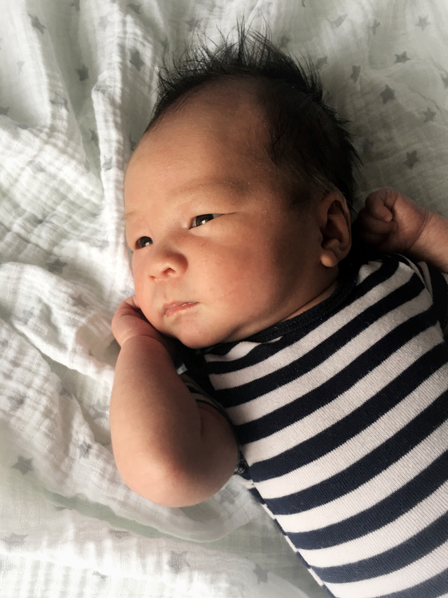 Gotta roll with the punches