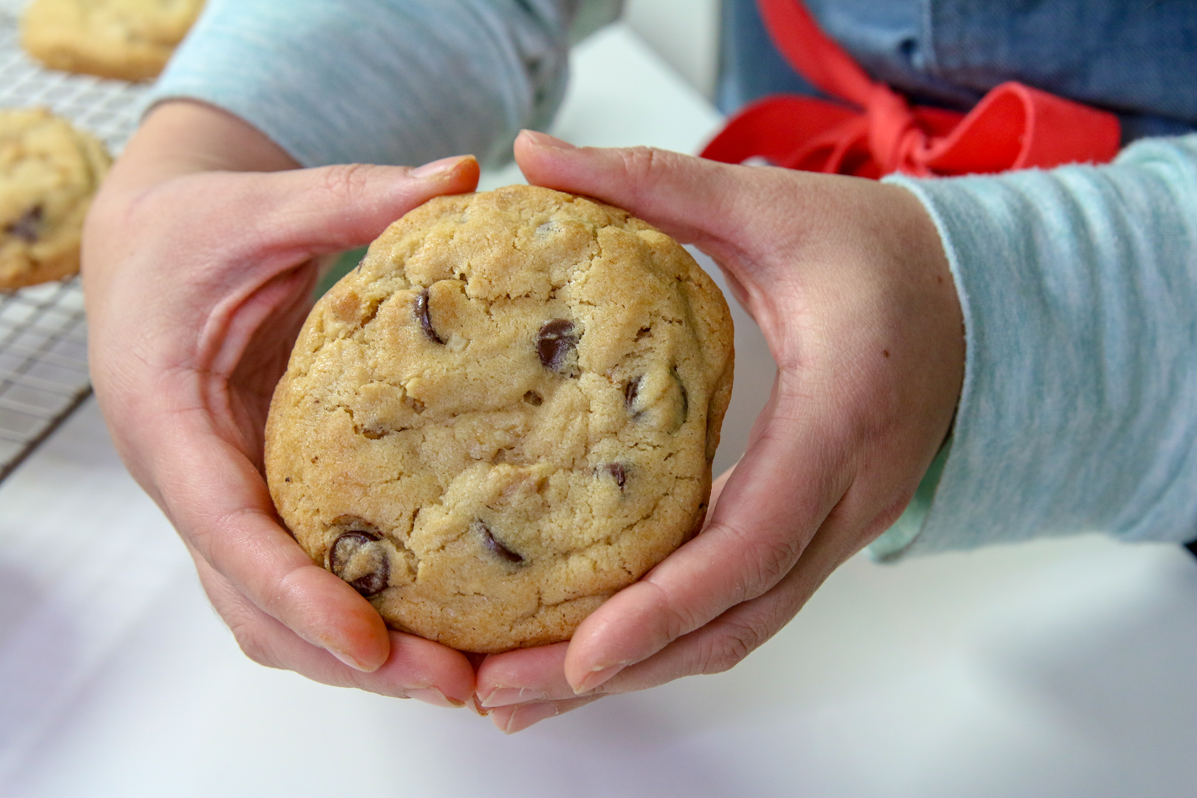 Hearty Chocolate Chip Cookies
